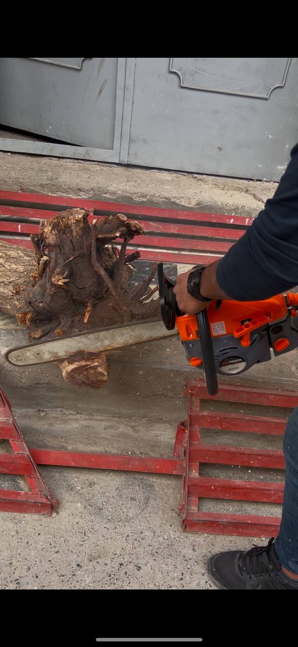 منشار السلسلة LIFE POWER