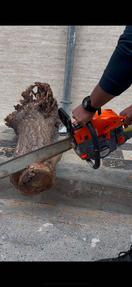 منشار السلسلة LIFE POWER